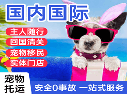 阿拉尔空运国际宠物托运 【国